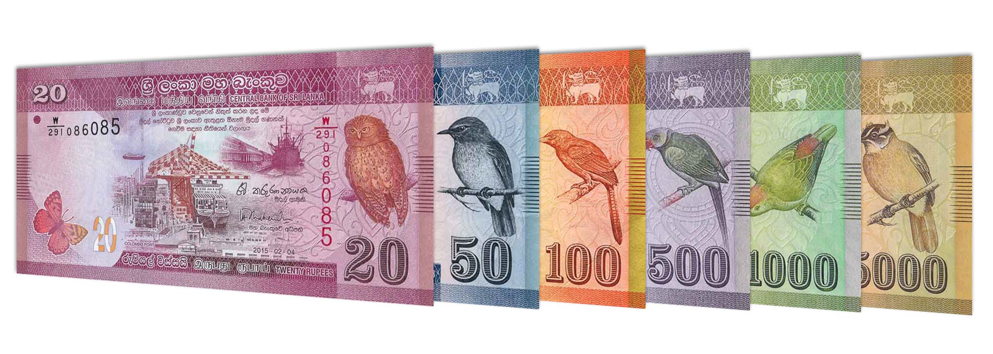 Sri Lankan Currency Rate Uae