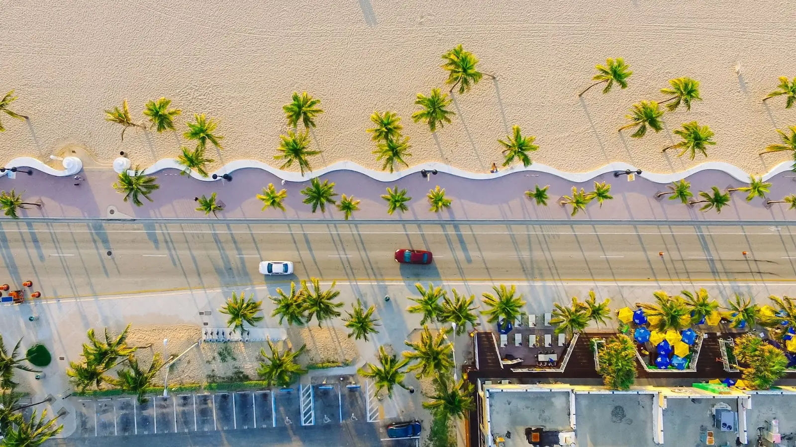 birds eye view of a beach in Miami