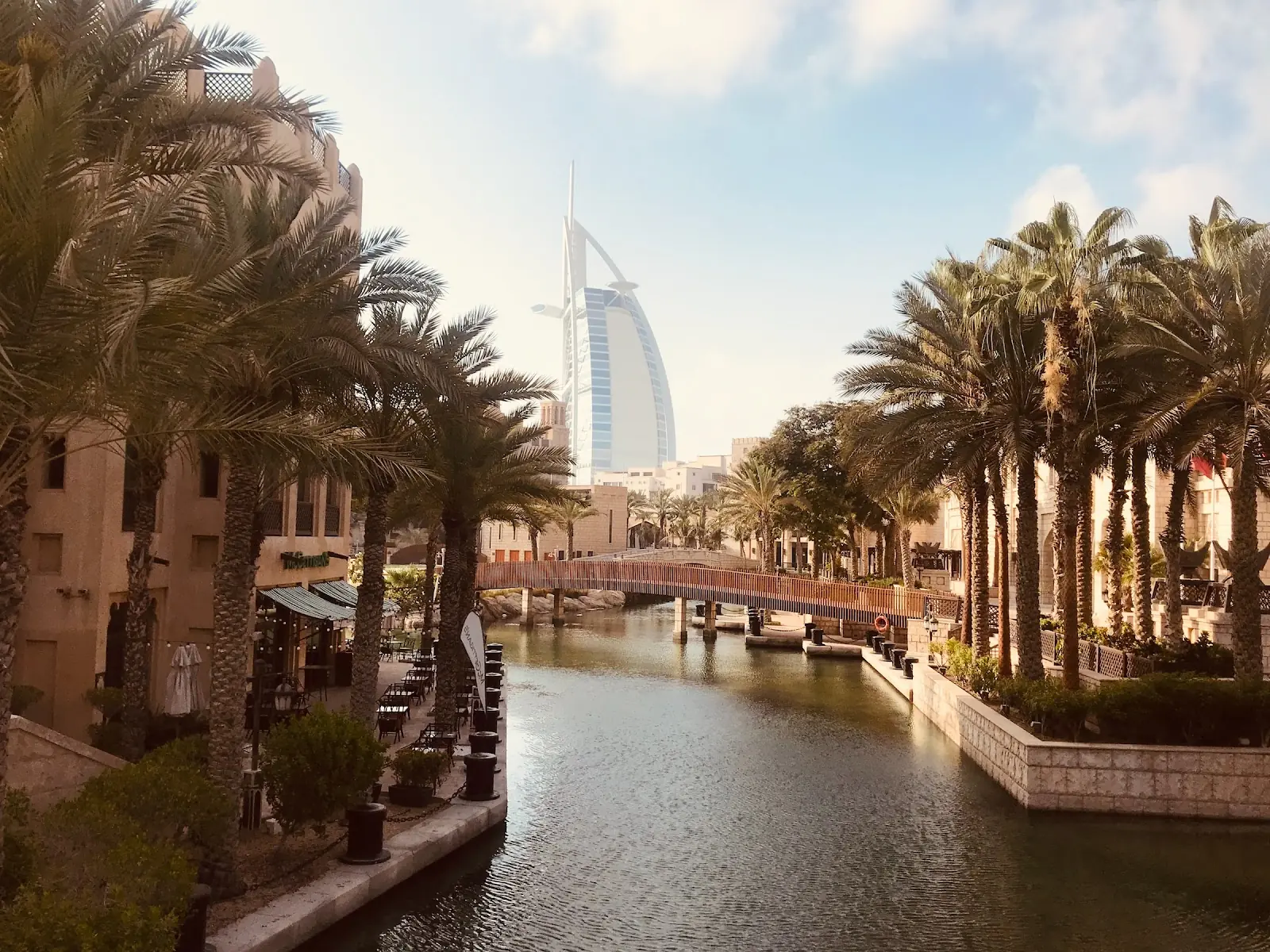 Palm trees and a sky scrapper in the UAE.