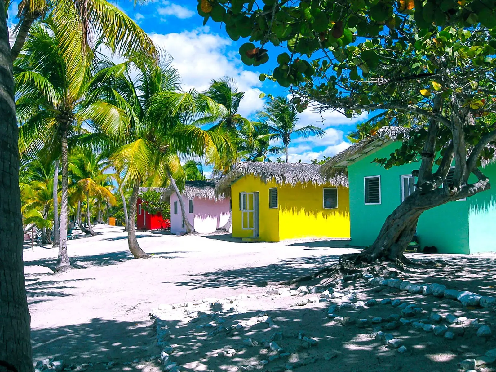 The view of the Catalina island, Dominican Republic