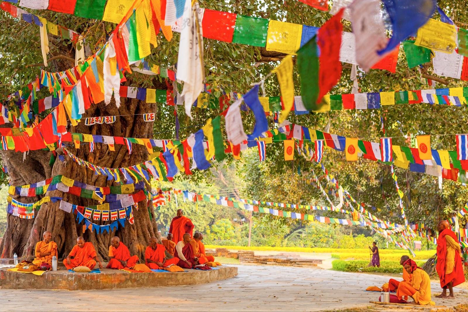 LUMBINI, NEPAL - NOVEMBER 15 : Pilgrims visit the birthplace of Buddha during Buddha Jayanti Young monk prayer
