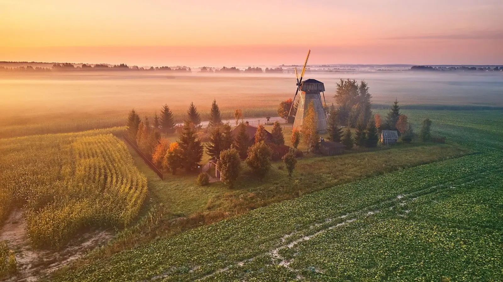 Traditional Wooden Windmill Morning Landscape. Rural colorful Sunrise, Foggy green fields. Dudutki village, Minsk Region, Belarus.
