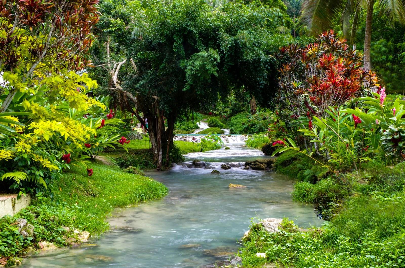 stream running through a tropical garden Vanuatu