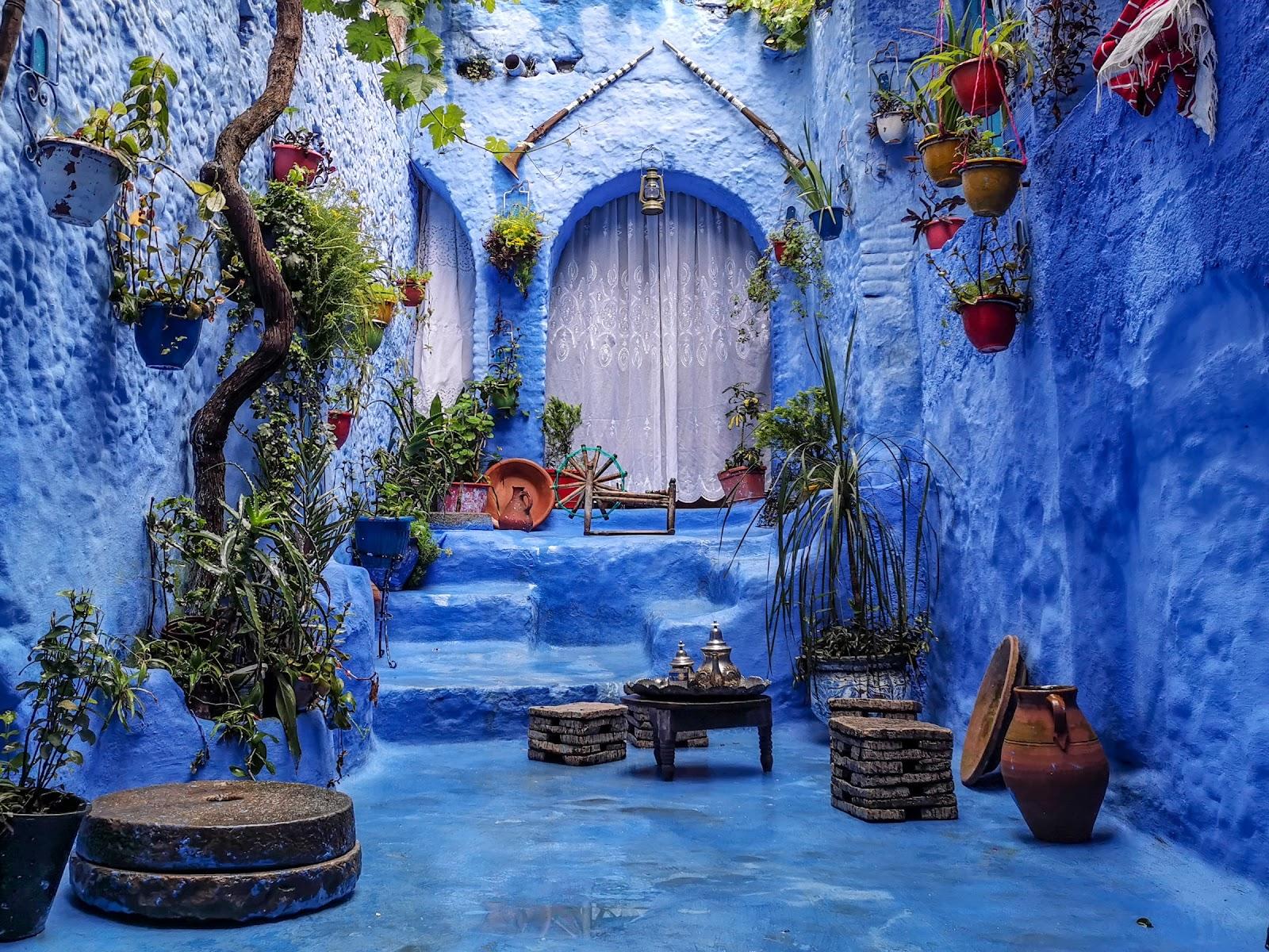A small blue painted courtyard in the blue city with pot plants on the walls.
