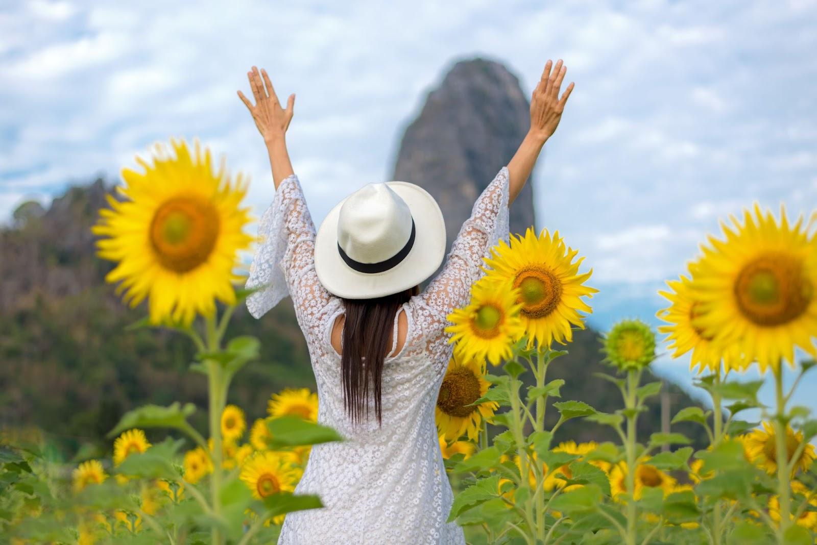 Lifestyle traveler or tourism women happy feeling good relax and freedom facing on the natural sunflower farm outdoors in the sunrise morning, Thailand. Travel Concept