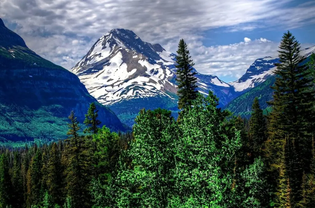 a view of a mountain range with trees in the foreground. Glacier National Park, Montana, USA