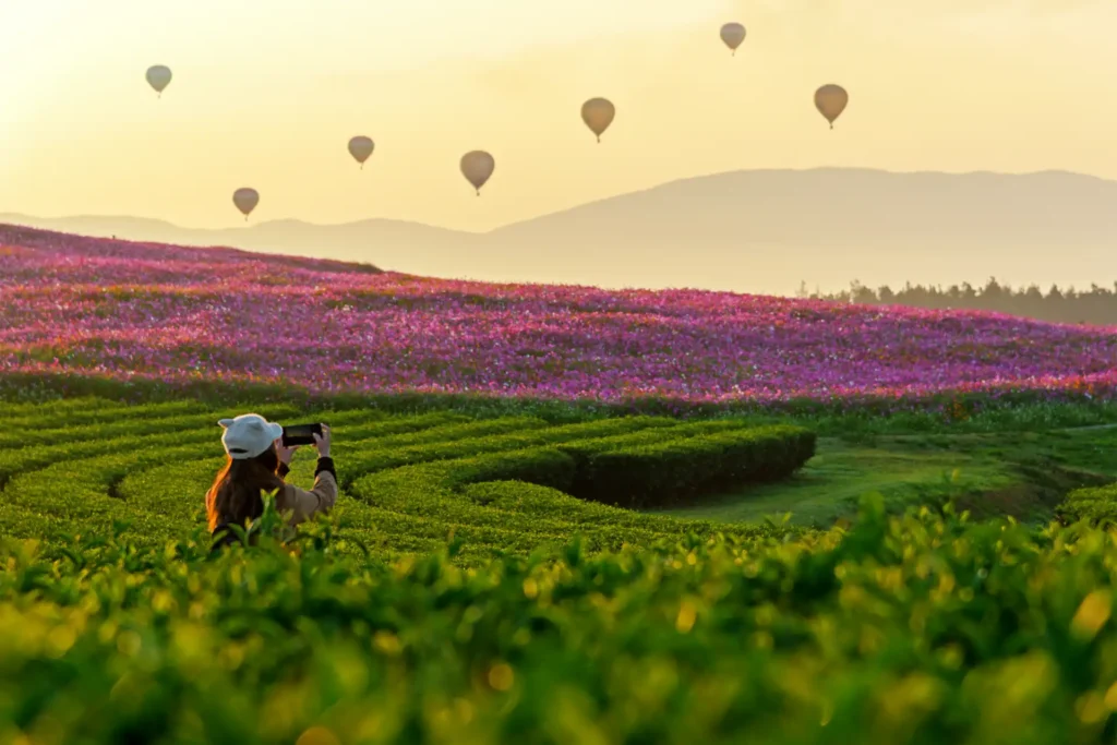 Lifestyle traveler women take a photo fire balloon on the nature tea and cosmos farm in the sunrise morning, happy feeling good relax and freedom. Travel Concept