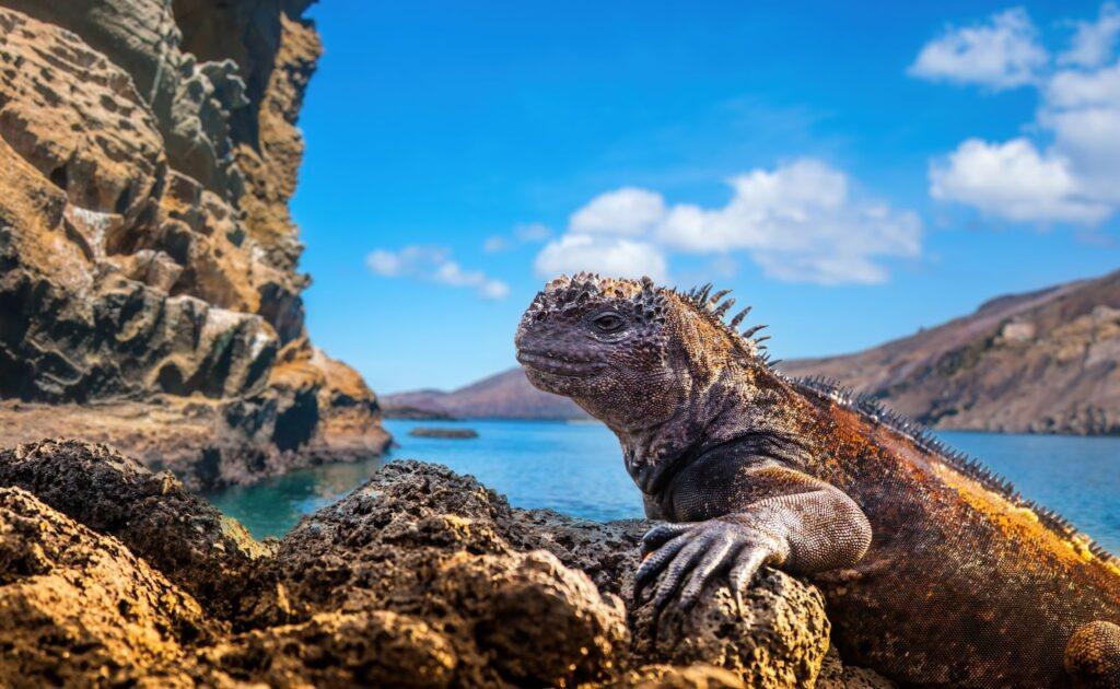 Ecuador. The Galapagos Islands. Beaches of the Galapagos Islands