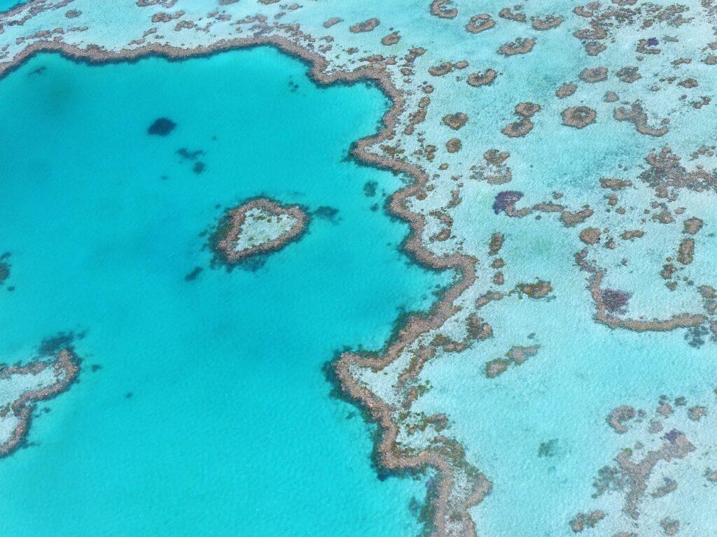 The great barrier reef australia