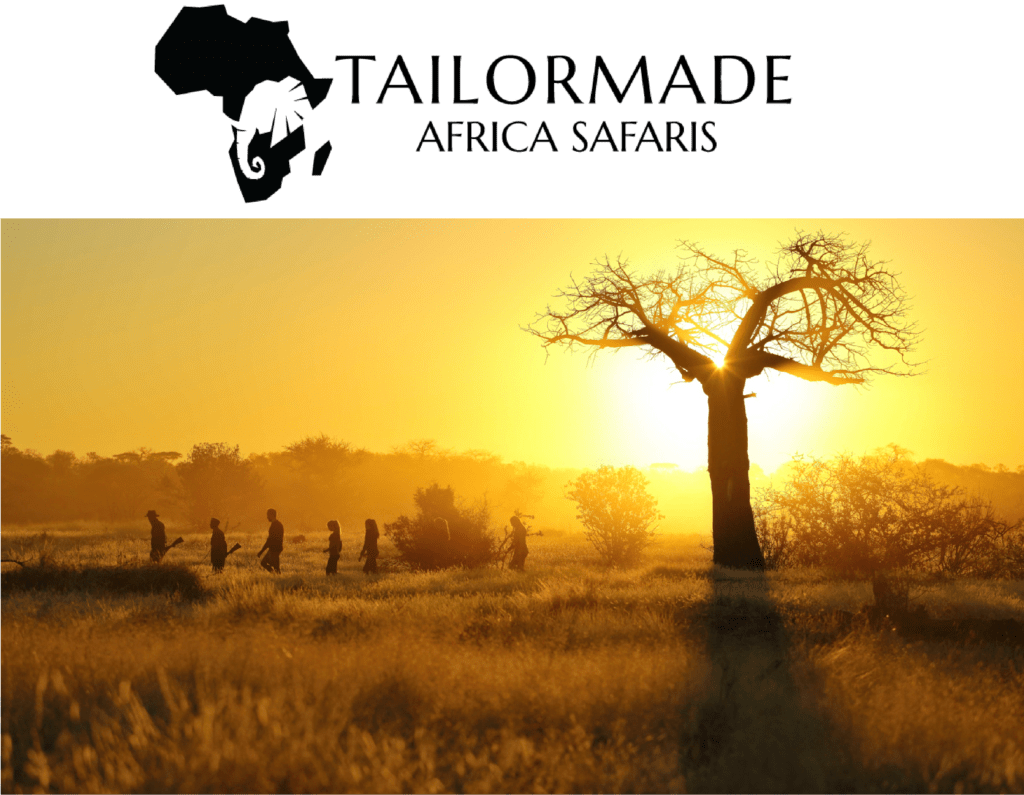 Tailor Made Africa Safari logo and and landscape of Africa with travellers and a sunset 