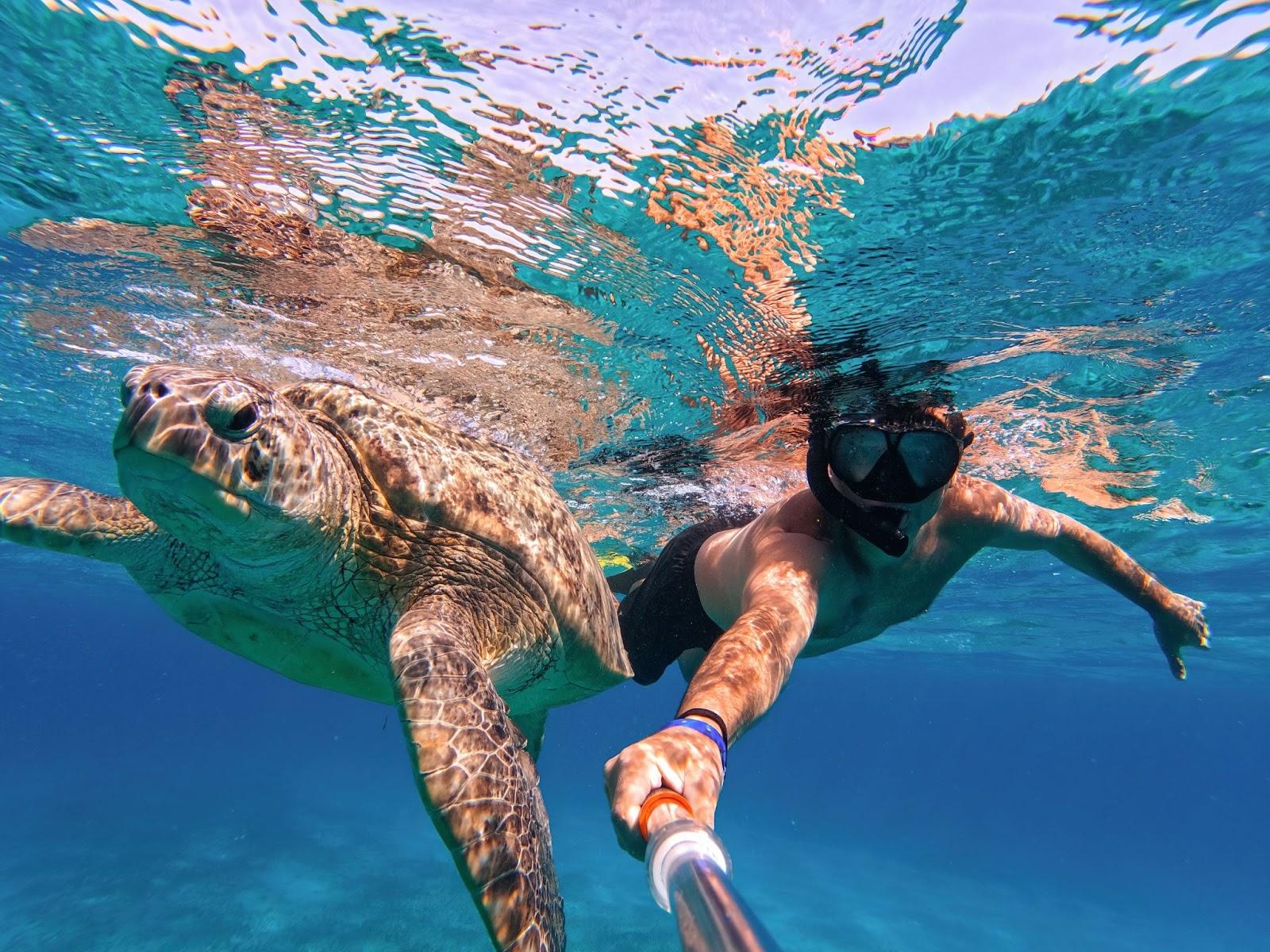 Man snorkelling with turtle taking a selfie, paid for with travel money bought from Manor FX in British pounds 