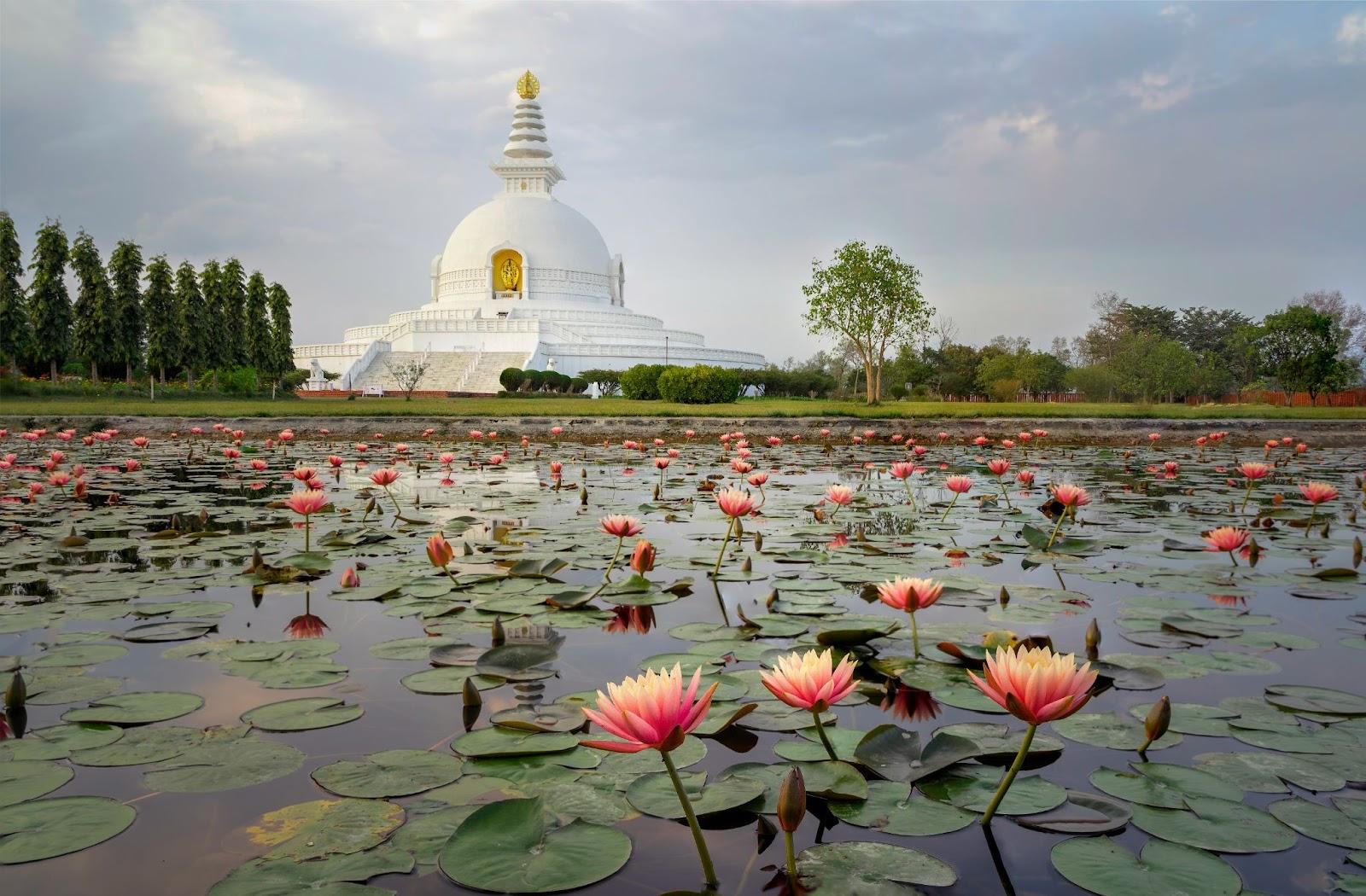 World Peace Pagoda Lumbini nepal - buddha birthplace