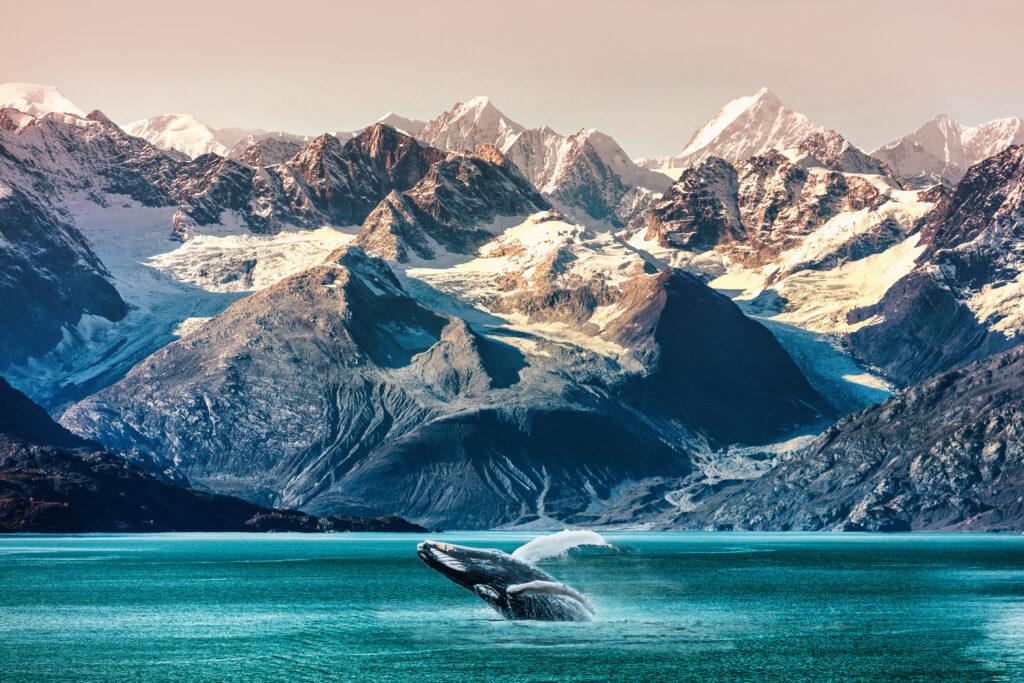 Alaska whale watching boat excursion. Inside passage mountain range landscape luxury travel cruise concept.