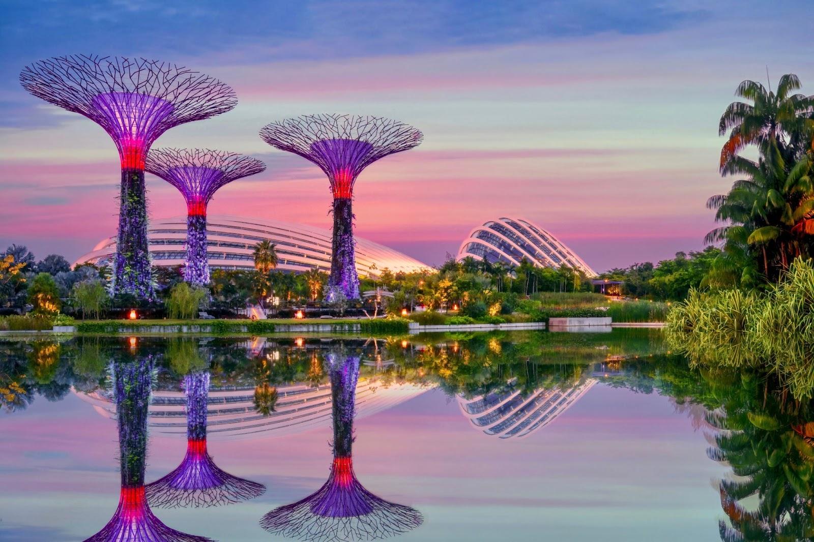 Singapore, Singapore - August 12, 2014. Evening view of three Supertrees at Gardens by the Bay, with Flower Dome and Cloud Forest in the background, and reflections in the water.