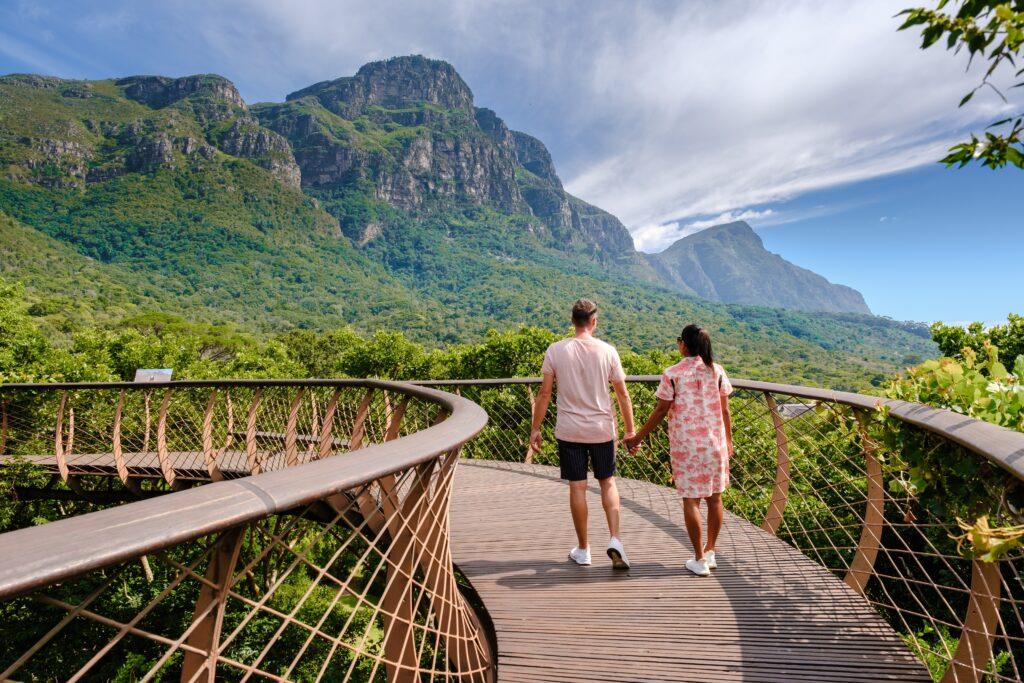 couple of men and women walking at the boomslang walkway in the Kirstenbosch botanical garden in Cape Town, Canopy bridge at Kirstenbosch Gardens in Cape Town, built above lush foliage South Africa